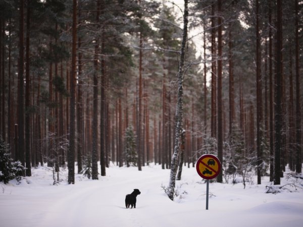 img30.jpg