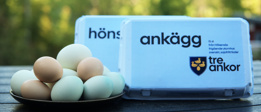 Äggkartong